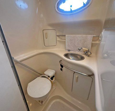 SEA RAY SUNDANCER 34 full