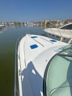SEA RAY SUNDANCER 34 full