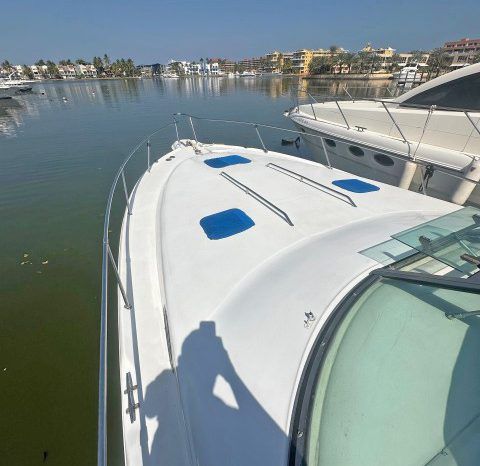 SEA RAY SUNDANCER 34 full