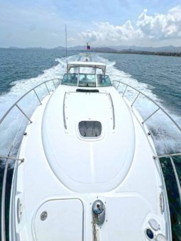 
										SEA RAY SUNDANCER 40 full									