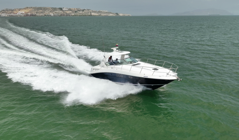 
								SEA RAY SUNDANCER 40 full									