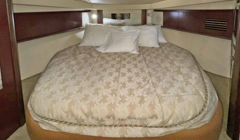 
								SEA RAY SUNDANCER 40 full									