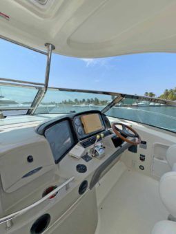 
										SEA RAY SUNDANCER 40 full									
