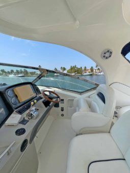 
										SEA RAY SUNDANCER 40 full									