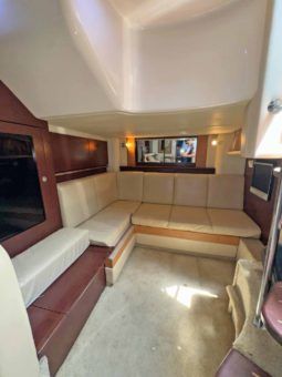 
										SEA RAY SUNDANCER 40 full									