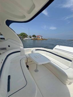 
										SEA RAY SUNDANCER 40 full									