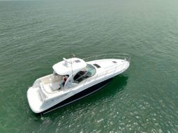 
										SEA RAY SUNDANCER 40 full									