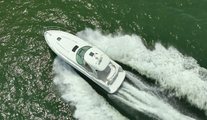 
								SEA RAY SUNDANCER 40 full									