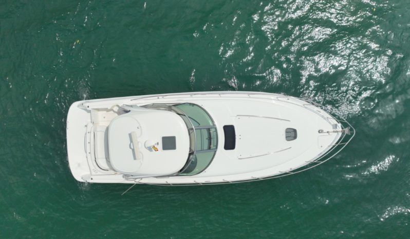 
								SEA RAY SUNDANCER 40 full									