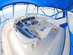 
										SEA RAY EXPRESS BRIDGE 45 full									