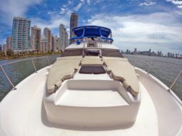 
										SEA RAY EXPRESS BRIDGE 45 full									