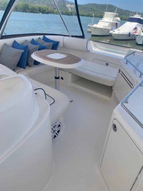 SEA RAY SEDAN BRIDGE 55