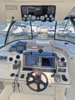 
										SEA RAY SEDAN BRIDGE 55 full									