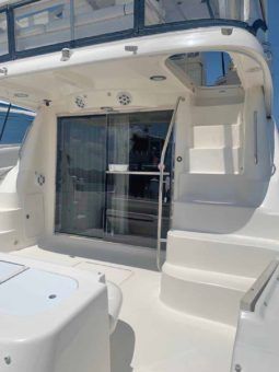 
										SEA RAY SEDAN BRIDGE 55 full									