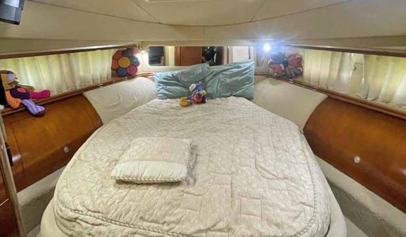 
								SEA RAY SEDAN BRIDGE 55 full									