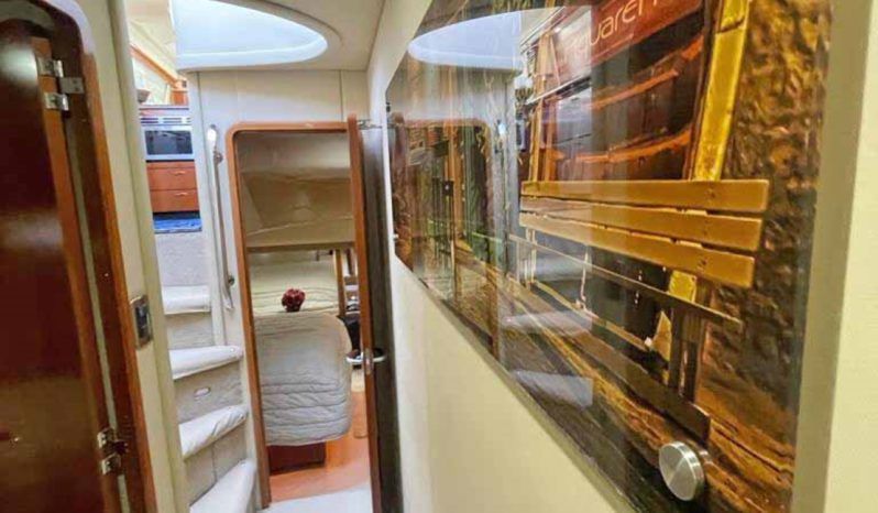 
								SEA RAY SEDAN BRIDGE 55 full									
