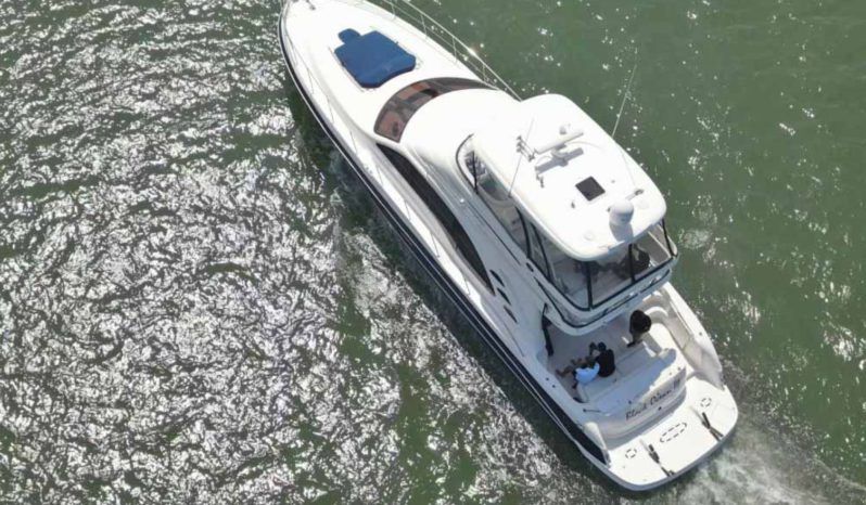 
								SEA RAY SEDAN BRIDGE 55 full									