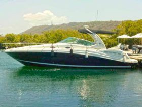 SEA RAY SUNDANCER 34