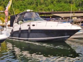 SEA RAY SUNDANCER 34