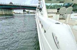 
										SEA RAY SUNDANCER 50 full									