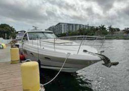 
										SEA RAY SUNDANCER 50 full									