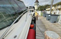 
										SEA RAY SUNDANCER 50 full									