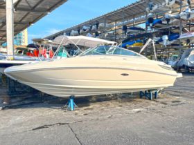 SEA RAY SUNDECK 21