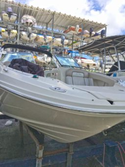 SEA RAY SUNDECK 21