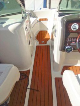 SEA RAY SUNDECK 21