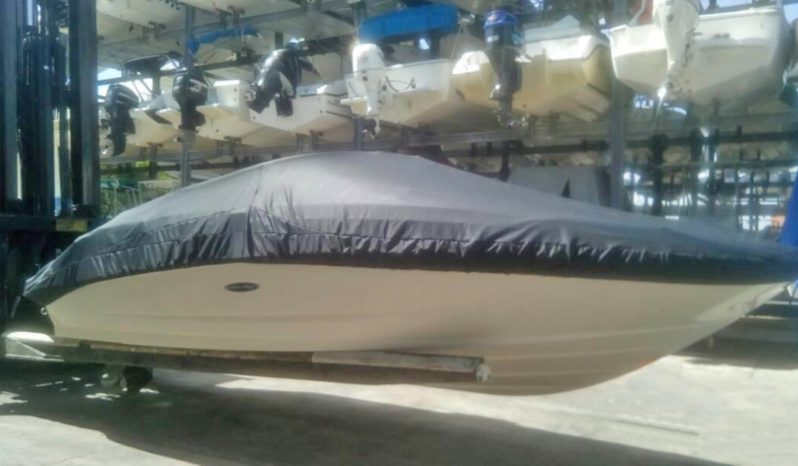 
								SEA RAY SUNDECK 21 full									