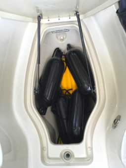 
										SEA RAY SUNDECK 21 full									