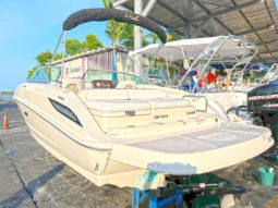 
										SEA RAY SUNDECK 21 full									