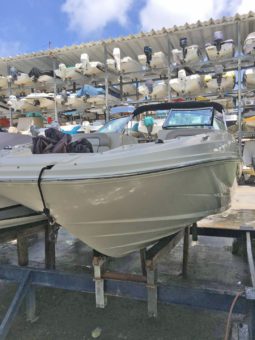 SEA RAY SUNDECK 21