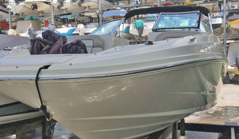 
								SEA RAY SUNDECK 21 full									