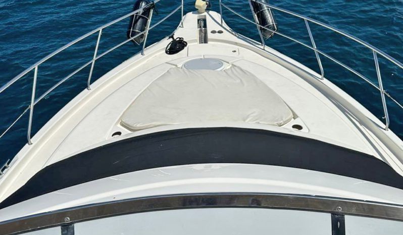 
								SILVERTON 41 full									