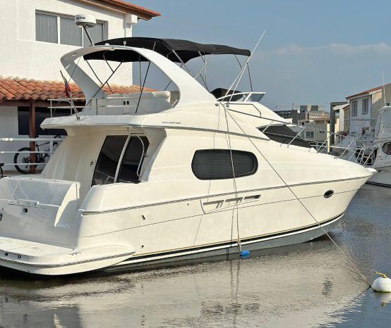 
								SILVERTON SPORT B 41 full									