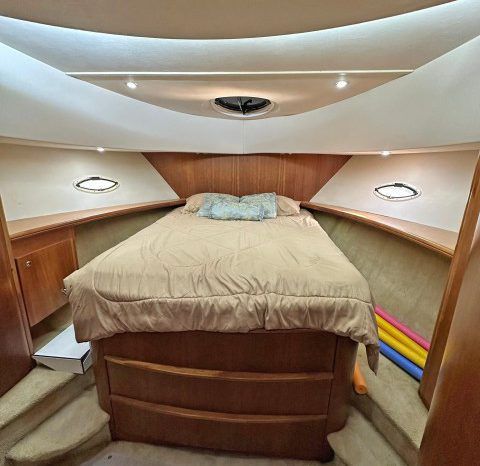 
								SILVERTON SPORT B 41 full									