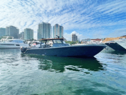 
										STREAMLINE CC 45 full									