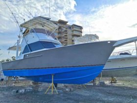 STRIKER 37