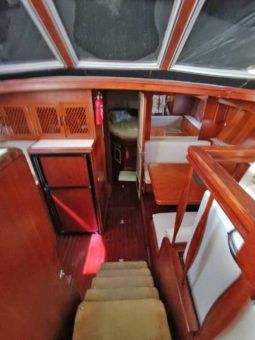 
										TAIWANES HI-STAR 42 full									