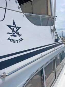 
										TAIWANES HI-STAR 42 full									