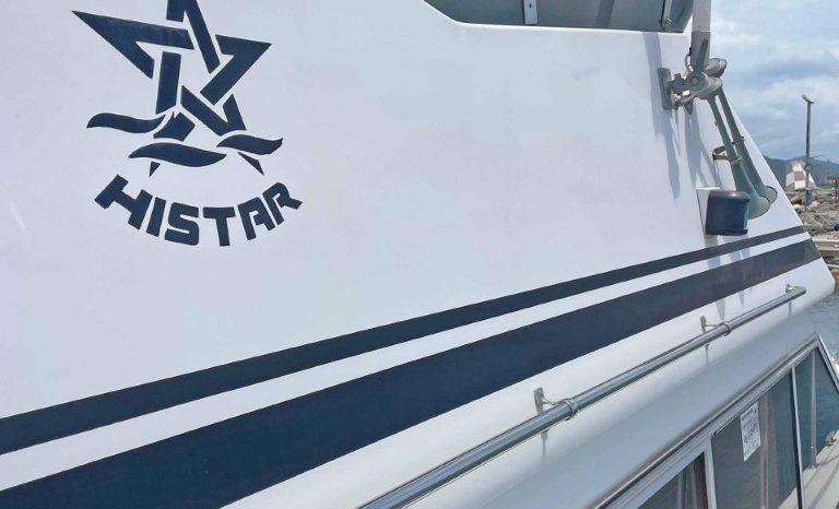 
								TAIWANES HI-STAR 42 full									
