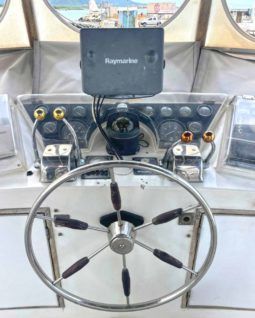 
										TAIWANES HI-STAR 42 full									