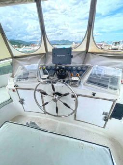 
										TAIWANES HI-STAR 42 full									