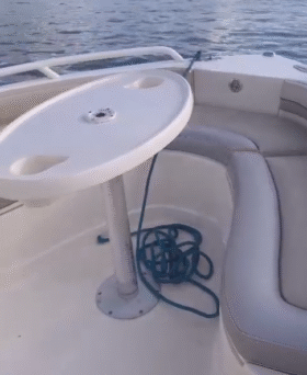 PROMARINE 21.5