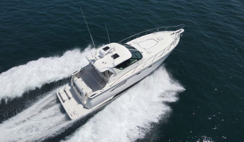 
								TIARA YACHT 44 full									