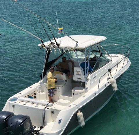
								ROBALO R305 30 full									