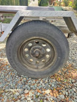 
										TRAILER GALVANIZADO 21 full									