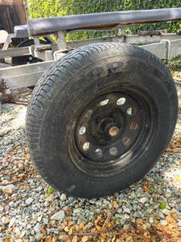 
										TRAILER GALVANIZADO 21 full									