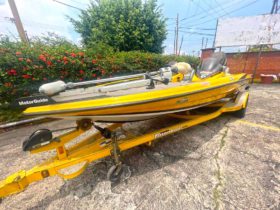 TRITON BOATS TR 19